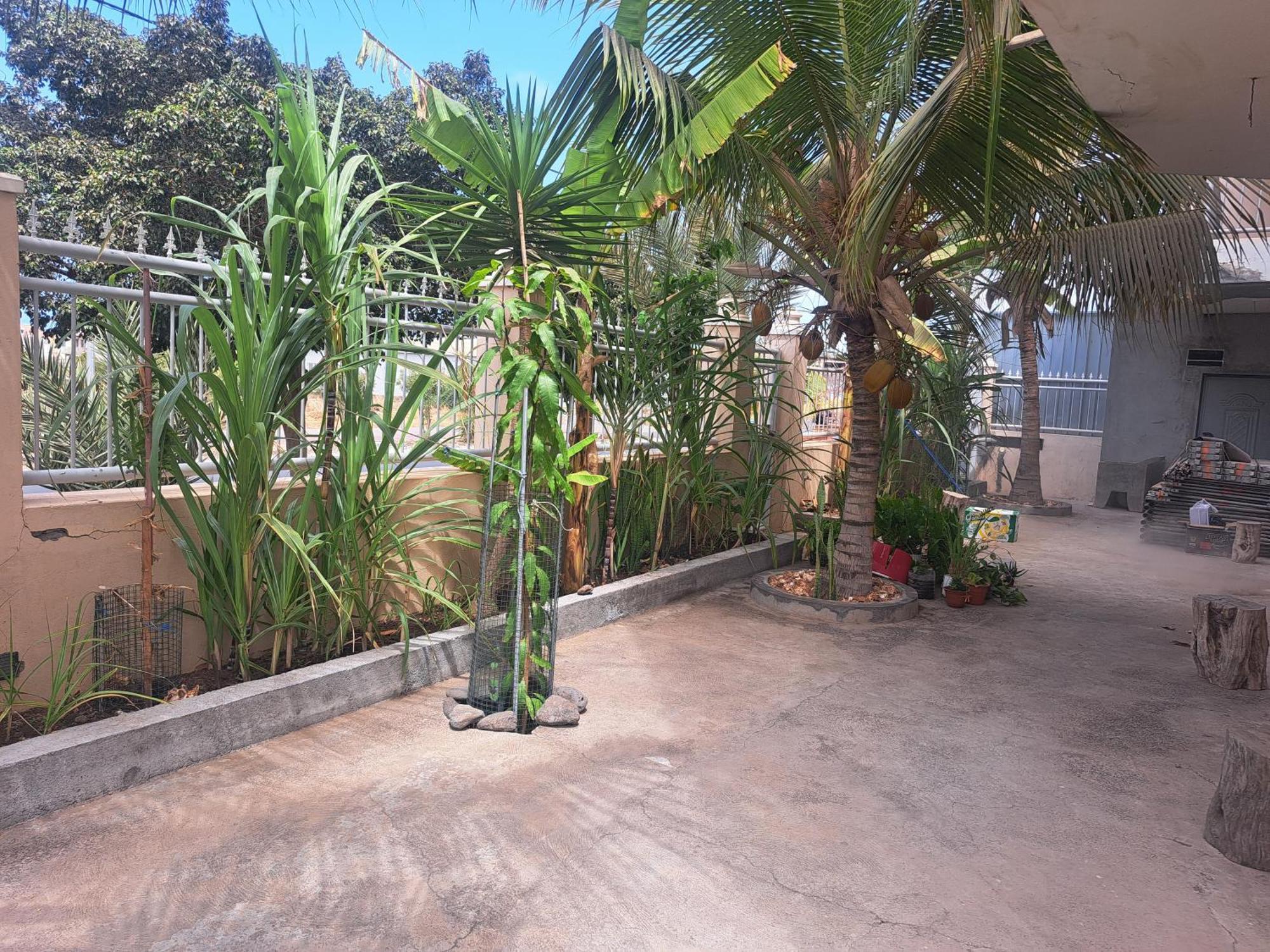 Barros Homestay Tarrafal  Luaran gambar
